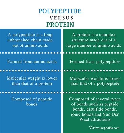 how are lipids similar to polypeptides